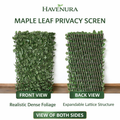 Maple leaf trellis screening on garden wall
