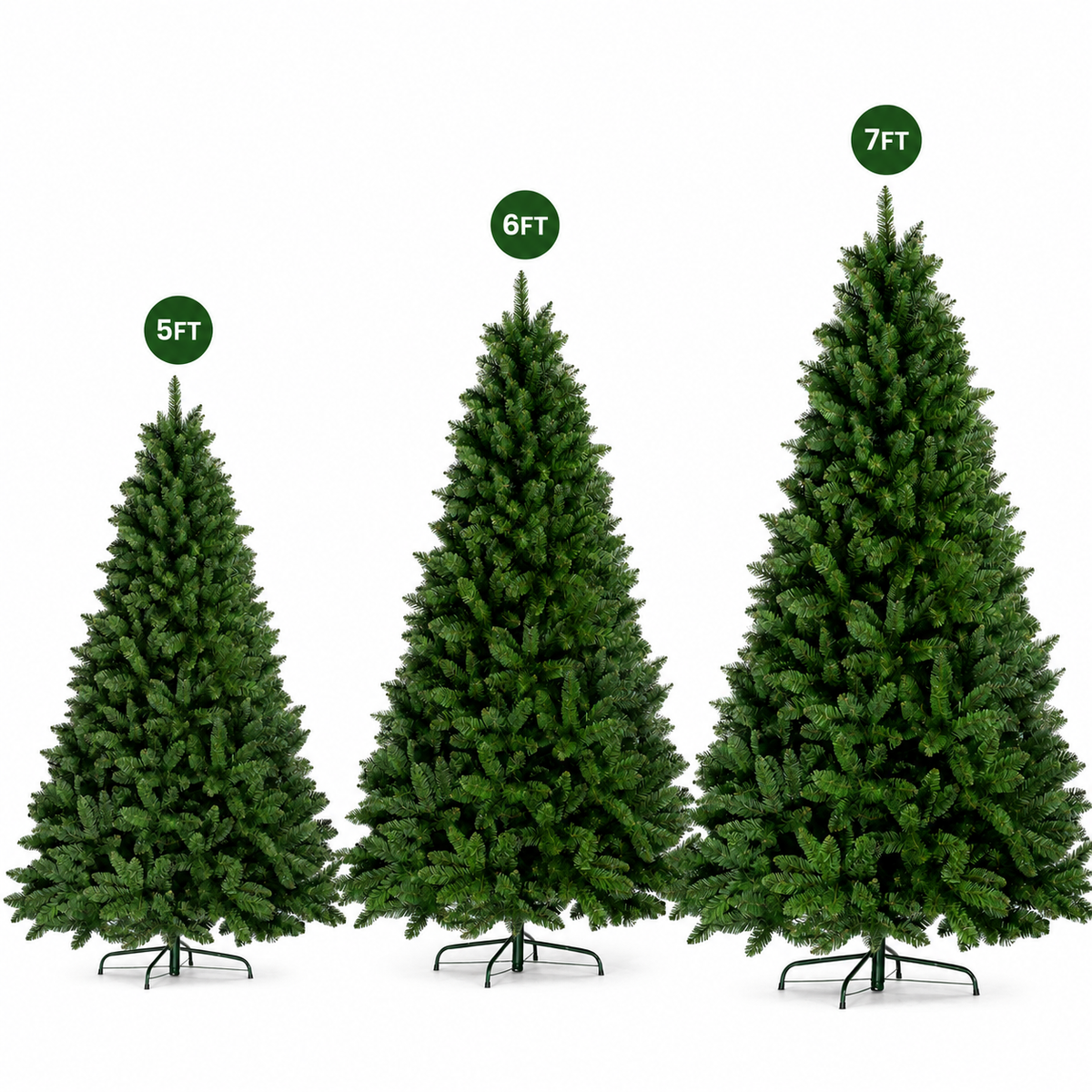 Bushy Christmas tree size comparison 5ft, 6ft, 7ft