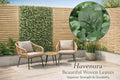 Willow trellis frame with maple leaf foliage